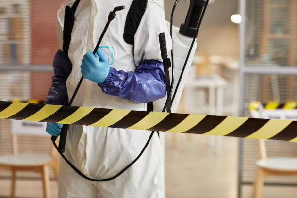 Professional Biohazard Cleanup technician working in Palo, MI